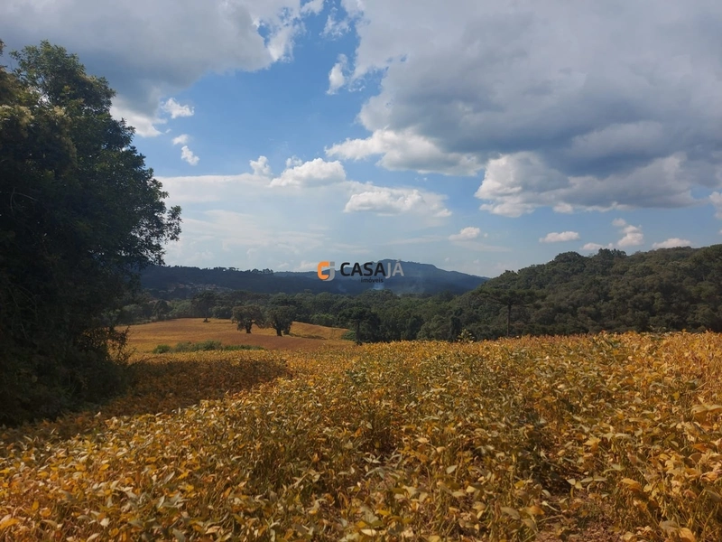 Terreno de 8 Alqueires: Natureza e Oportunidade de Investimento!: 3ª foto da galeria de imagens do imóvel