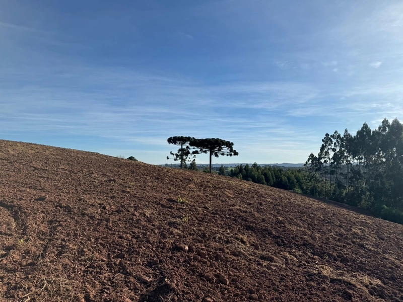 Lindas Chácaras no Rodeio Sto Antonio: 17ª foto da galeria de imagens do imóvel