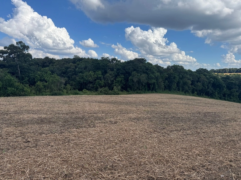 Lindo terreno na Colônia Campina: 17ª foto da galeria de imagens do imóvel