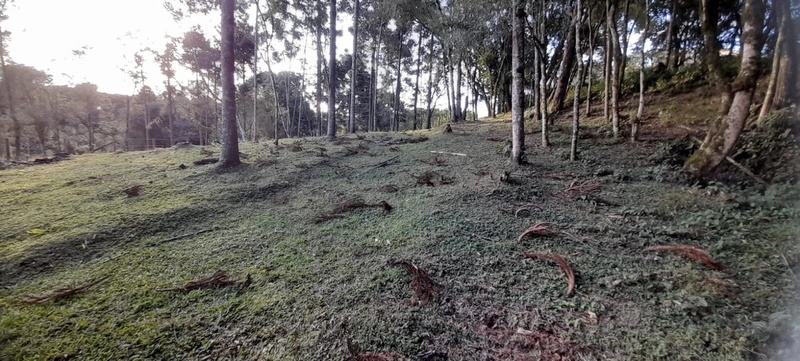 Chácara em condomínio particular na Estrada da Sereia: 31ª foto da galeria de imagens do imóvel