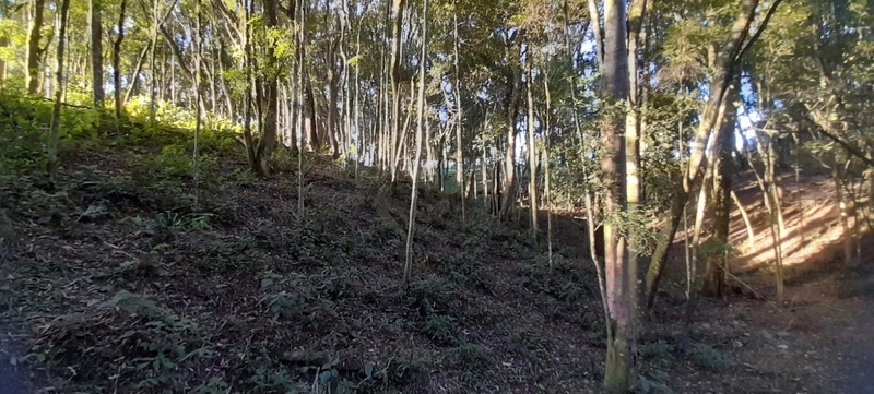 Chácara em condomínio particular na Estrada da Sereia: 29ª foto da galeria de imagens do imóvel