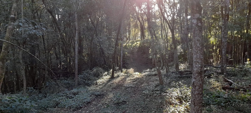 Chácara em condomínio particular na Estrada da Sereia: 27ª foto da galeria de imagens do imóvel