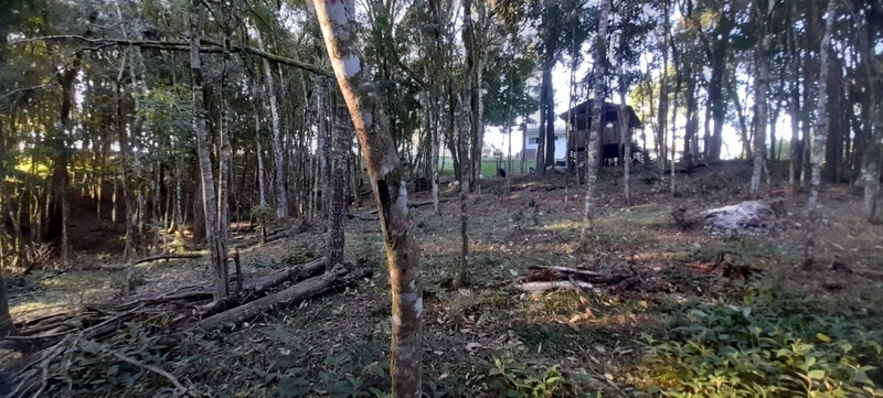 Chácara em condomínio particular na Estrada da Sereia: 28ª foto da galeria de imagens do imóvel