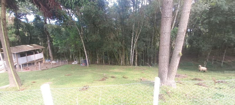 Chácara em condomínio particular na Estrada da Sereia: 17ª foto da galeria de imagens do imóvel