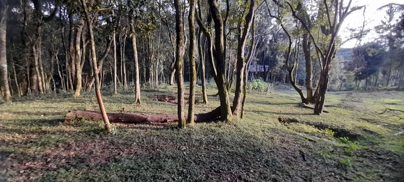 Chácara em condomínio particular na Estrada da Sereia: 33ª foto da galeria de imagens do imóvel