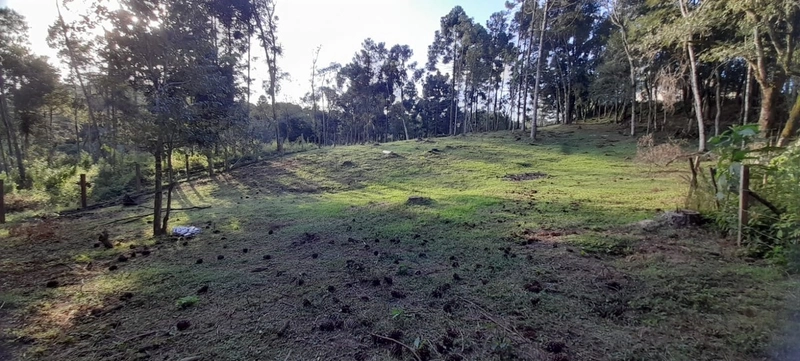 Chácara em condomínio particular na Estrada da Sereia: 30ª foto da galeria de imagens do imóvel