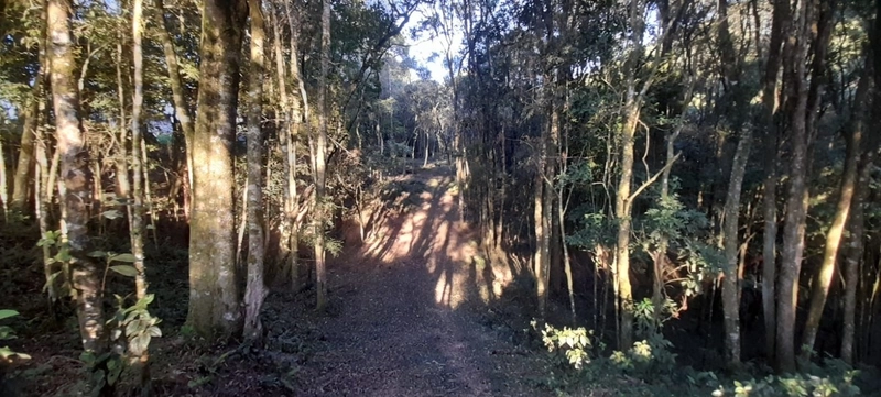 Chácara em condomínio particular na Estrada da Sereia: 34ª foto da galeria de imagens do imóvel