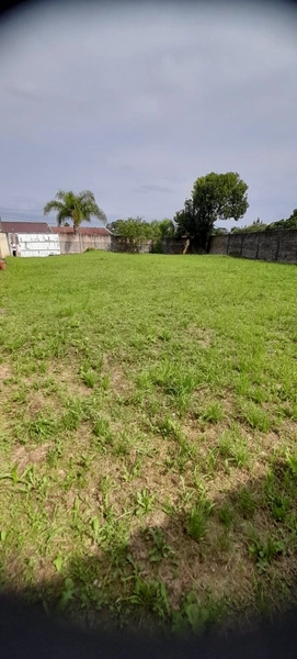 Terreno a venda na Vila Elizabeth: 5ª foto da galeria de imagens do imóvel
