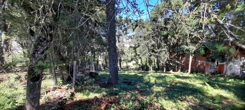 Terreno em Condominio Villaggio Verde: 3ª foto da galeria de imagens do imóvel