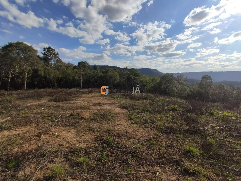 Chácara com ampla área verde e ideal para quem busca tranquilidade!: 5ª foto da galeria de imagens do imóvel