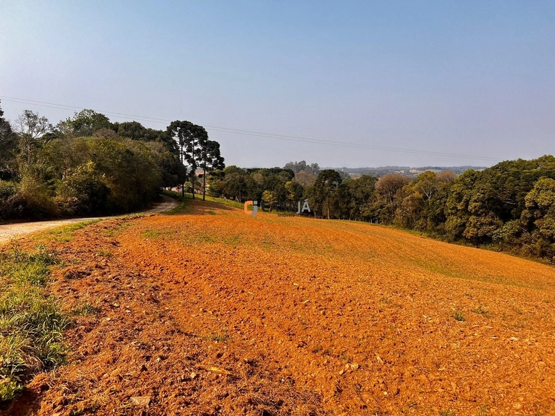 Terreno para Formação de Chácara Próximo ao Centro de Campo Largo: 12ª foto da galeria de imagens do imóvel