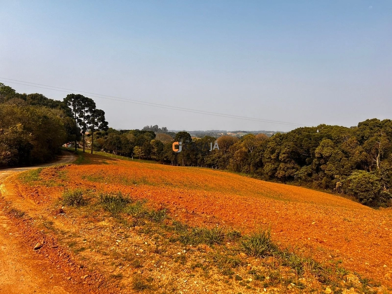 Terreno para Formação de Chácara Próximo ao Centro de Campo Largo: 11ª foto da galeria de imagens do imóvel