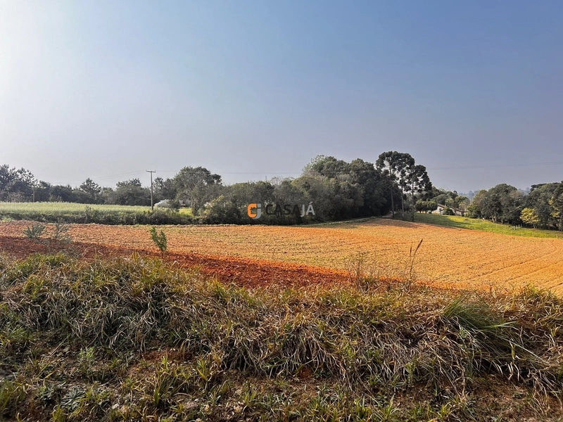 Terreno para Formação de Chácara Próximo ao Centro de Campo Largo: 18ª foto da galeria de imagens do imóvel