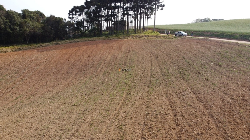 Terreno para Formação de Chácara Próximo ao Centro de Campo Largo: 3ª foto da galeria de imagens do imóvel