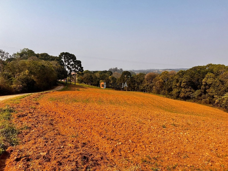 Terreno para Formação de Chácara Próximo ao Centro de Campo Largo: 13ª foto da galeria de imagens do imóvel