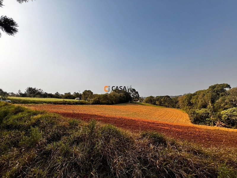 Terreno para Formação de Chácara Próximo ao Centro de Campo Largo: 19ª foto da galeria de imagens do imóvel