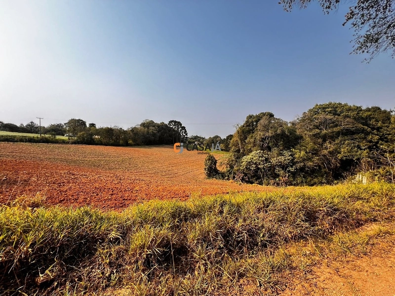 Terreno para Formação de Chácara Próximo ao Centro de Campo Largo: 15ª foto da galeria de imagens do imóvel