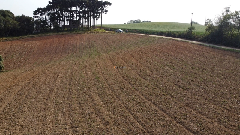 Terreno para Formação de Chácara Próximo ao Centro de Campo Largo: 10ª foto da galeria de imagens do imóvel