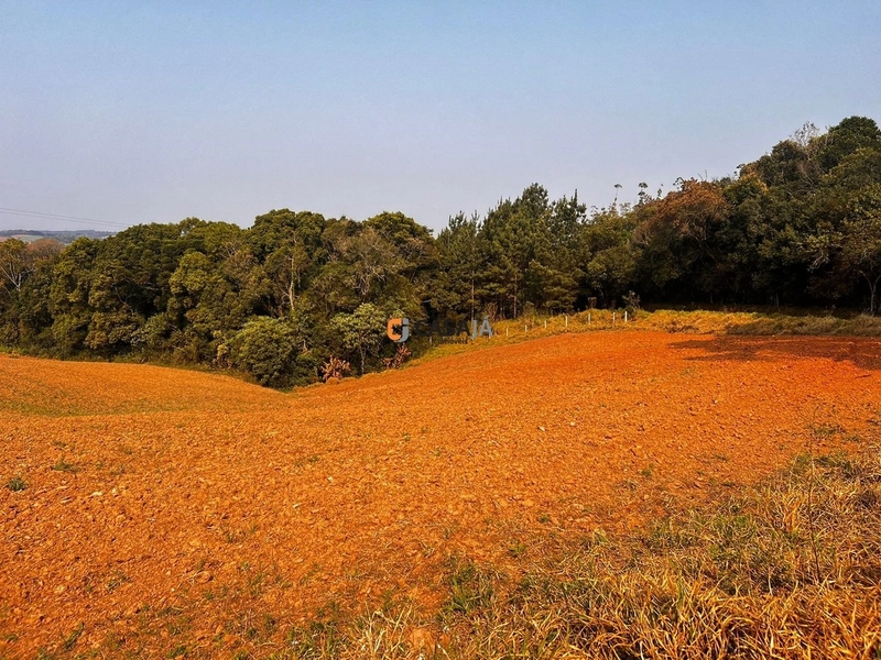 Terreno para Formação de Chácara Próximo ao Centro de Campo Largo: 14ª foto da galeria de imagens do imóvel