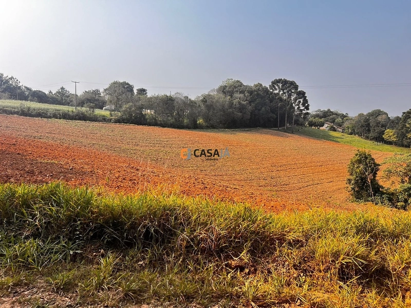 Terreno para Formação de Chácara Próximo ao Centro de Campo Largo: 17ª foto da galeria de imagens do imóvel