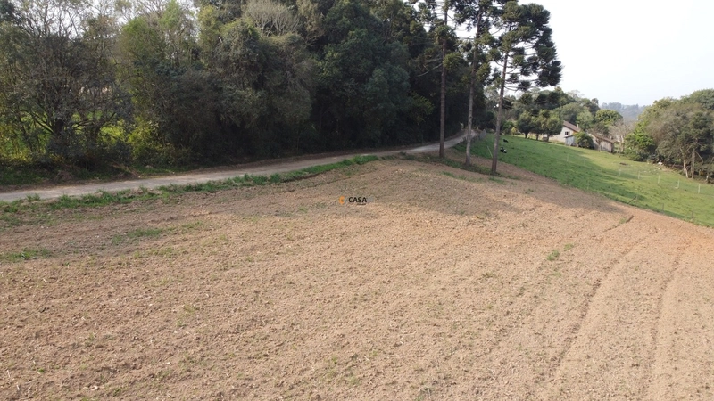 Terreno para Formação de Chácara Próximo ao Centro de Campo Largo: 8ª foto da galeria de imagens do imóvel