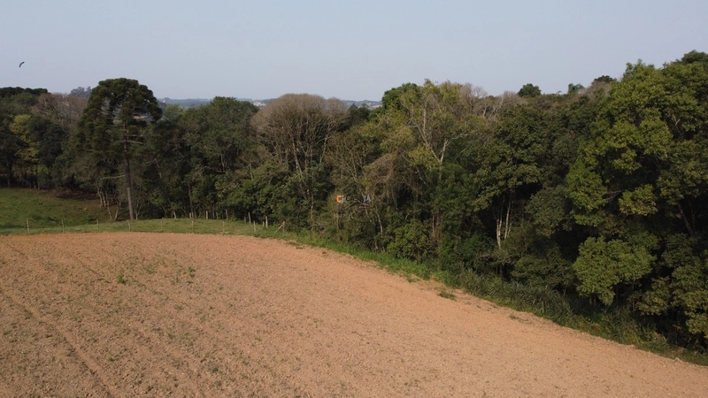 Terreno para Formação de Chácara Próximo ao Centro de Campo Largo: 6ª foto da galeria de imagens do imóvel