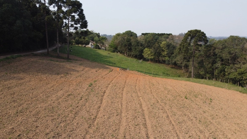 Terreno para Formação de Chácara Próximo ao Centro de Campo Largo: 7ª foto da galeria de imagens do imóvel