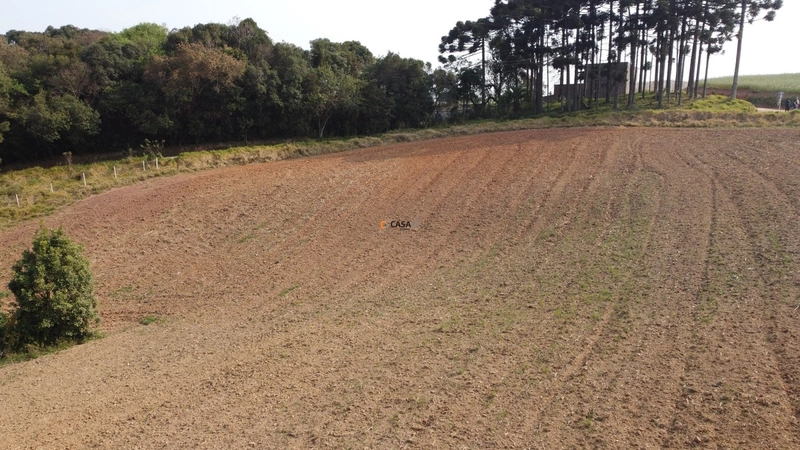 Terreno para Formação de Chácara Próximo ao Centro de Campo Largo: 4ª foto da galeria de imagens do imóvel