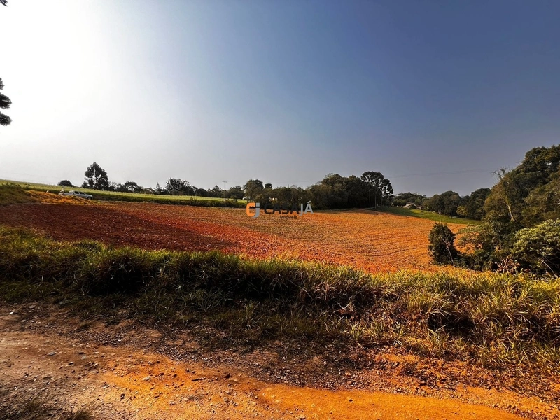 Terreno para Formação de Chácara Próximo ao Centro de Campo Largo: 20ª foto da galeria de imagens do imóvel