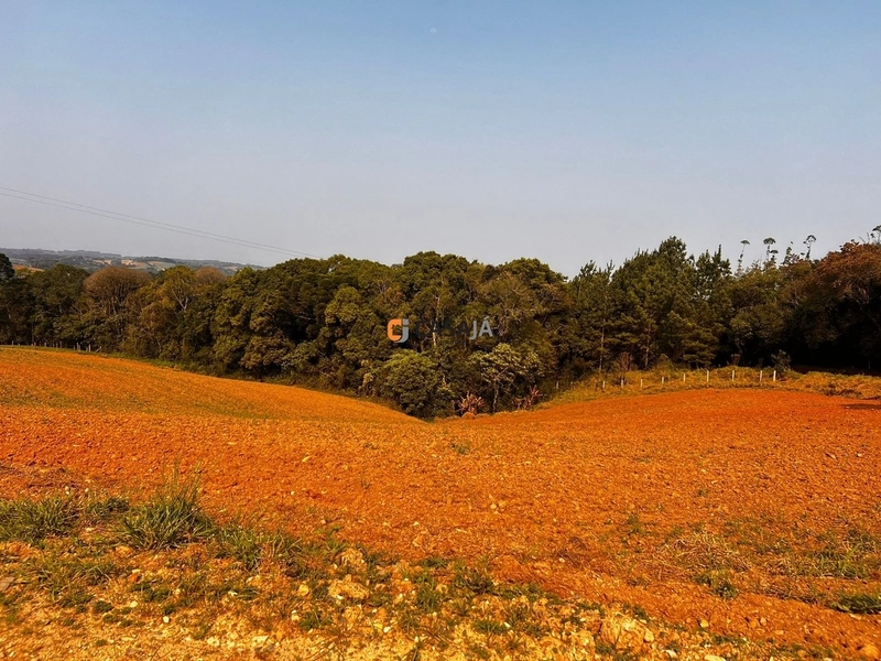 Terreno para Formação de Chácara Próximo ao Centro de Campo Largo: 21ª foto da galeria de imagens do imóvel