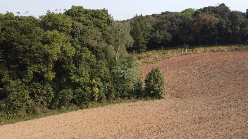 Terreno para Formação de Chácara Próximo ao Centro de Campo Largo: 5ª foto da galeria de imagens do imóvel