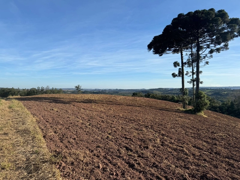 Terrenos para formação de Chácaras no Rodeio Sto Antonio: 10ª foto da galeria de imagens do imóvel