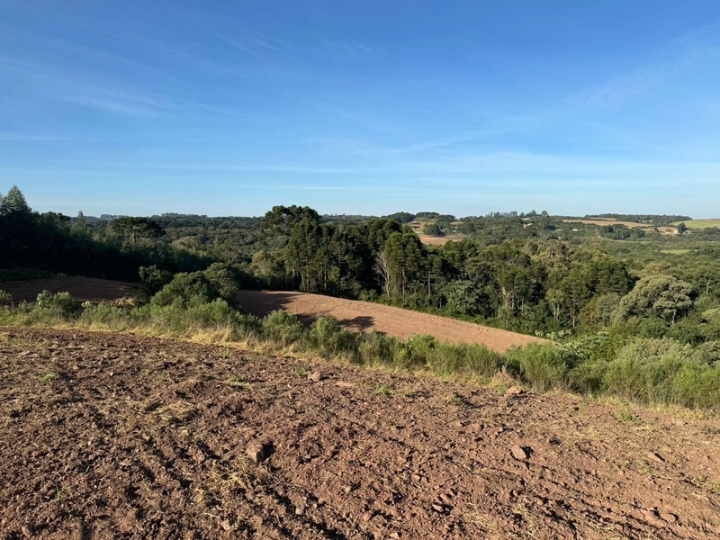 Terrenos para formação de Chácaras no Rodeio Sto Antonio: 21ª foto da galeria de imagens do imóvel