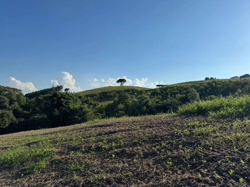 Terrenos para formação de Chácaras no Rodeio Sto Antonio: 8ª foto da galeria de imagens do imóvel
