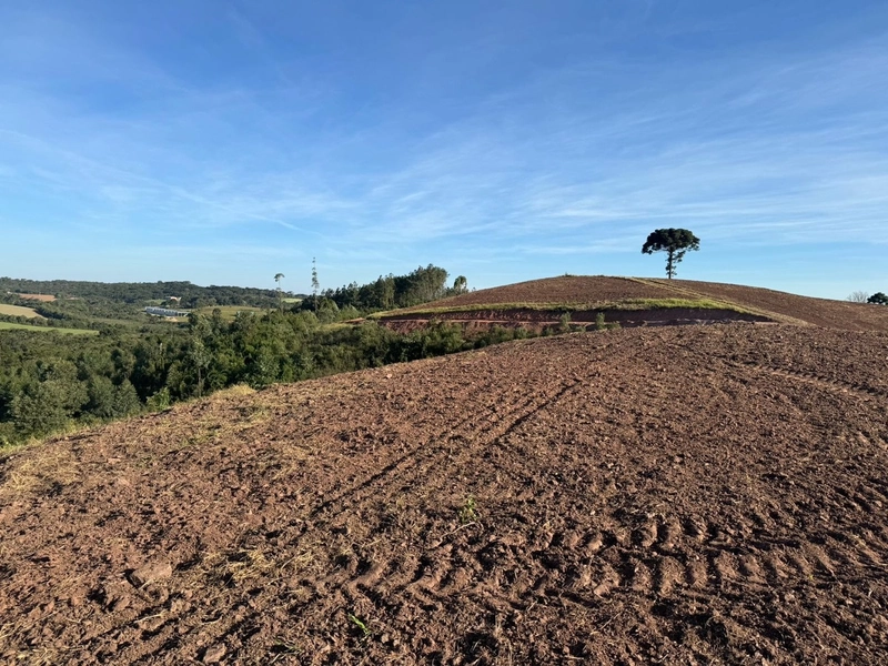 Terrenos para formação de Chácaras no Rodeio Sto Antonio: 23ª foto da galeria de imagens do imóvel