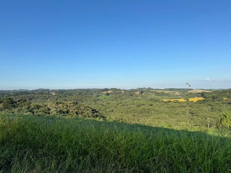 Terrenos para formação de Chácaras no Rodeio Sto Antonio: 4ª foto da galeria de imagens do imóvel