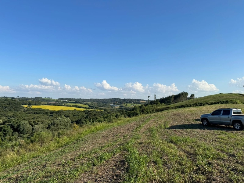 Terrenos para formação de Chácaras no Rodeio Sto Antonio: 6ª foto da galeria de imagens do imóvel