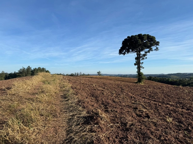 Terrenos para formação de Chácaras no Rodeio Sto Antonio: 16ª foto da galeria de imagens do imóvel