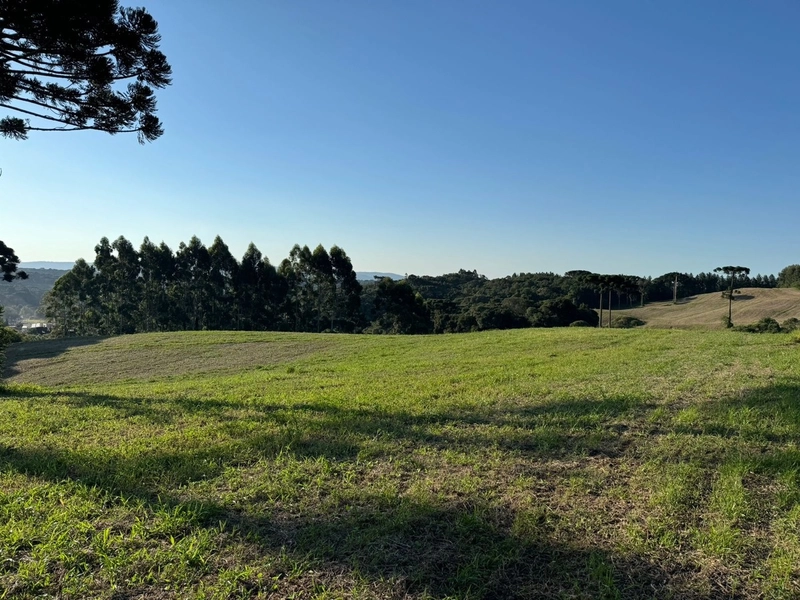 Terrenos para formação de Chácaras no Rodeio Sto Antonio: 2ª foto da galeria de imagens do imóvel