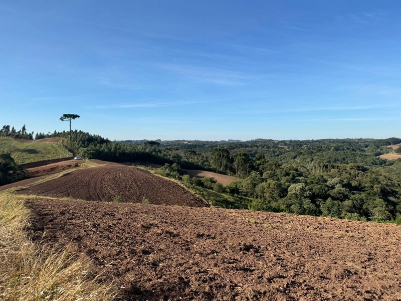 Terrenos para formação de Chácaras no Rodeio Sto Antonio: 15ª foto da galeria de imagens do imóvel