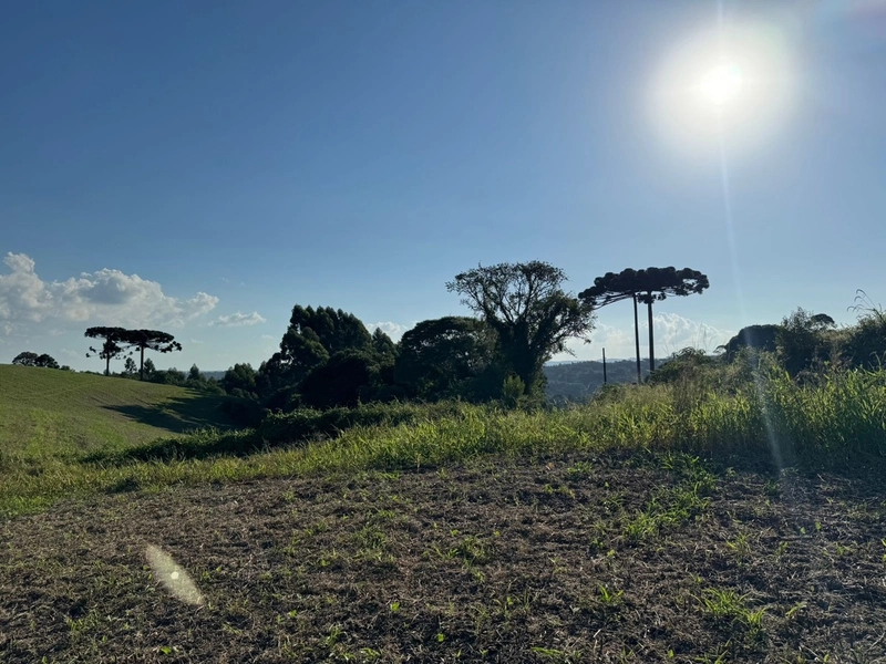 Terrenos para formação de Chácaras no Rodeio Sto Antonio: 9ª foto da galeria de imagens do imóvel