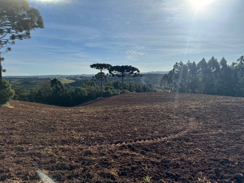 Terrenos para formação de Chácaras no Rodeio Sto Antonio: 13ª foto da galeria de imagens do imóvel