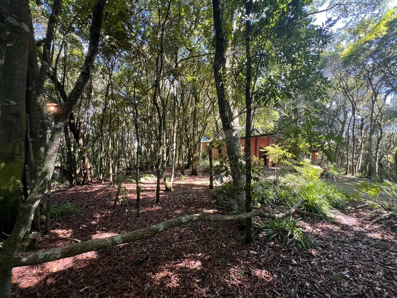 Linda Chácara à Venda!: 19ª foto da galeria de imagens do imóvel