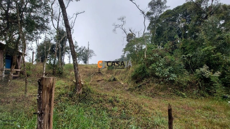 EXCELENTE CHÁCARA PARA PLANTIO, LINDA VISTA E ÁGUA.: 6ª foto da galeria de imagens do imóvel