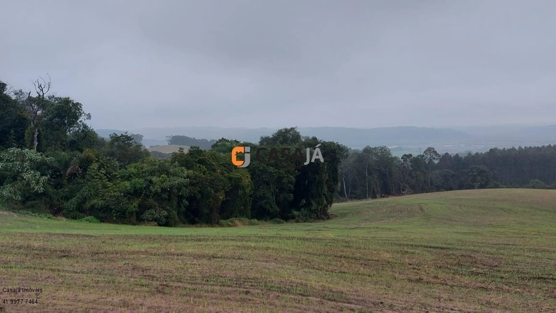 EXCELENTE CHÁCARA PARA PLANTIO, LINDA VISTA E ÁGUA.: 10ª foto da galeria de imagens do imóvel