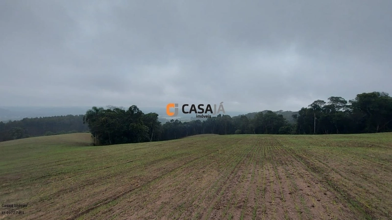EXCELENTE CHÁCARA PARA PLANTIO, LINDA VISTA E ÁGUA.: 7ª foto da galeria de imagens do imóvel