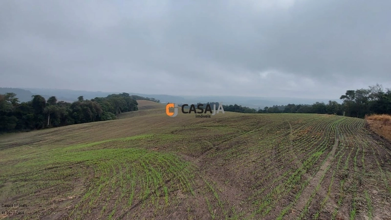 EXCELENTE CHÁCARA PARA PLANTIO, LINDA VISTA E ÁGUA.: 1ª foto da galeria de imagens do imóvel