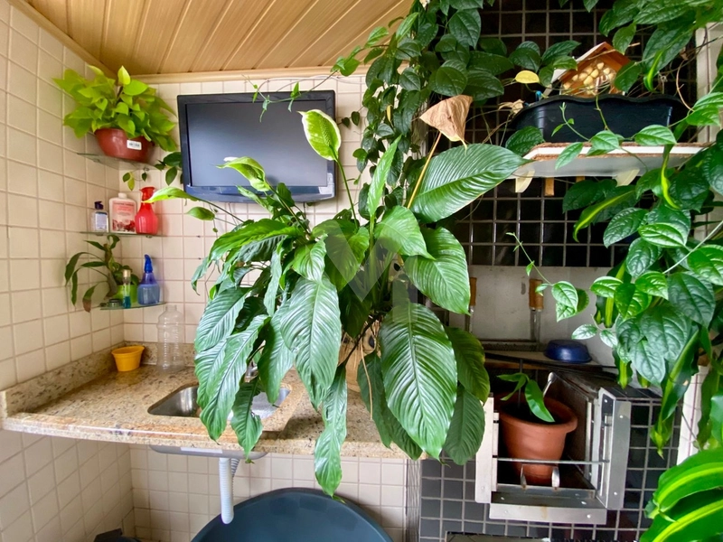 Apartamento à venda – Bairro Aviação: 3ª foto da galeria de imagens do imóvel