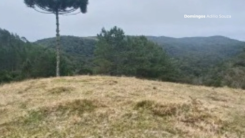 Um Paraíso para Investidores no Mundo da Recreação: 6ª foto da galeria de imagens do imóvel