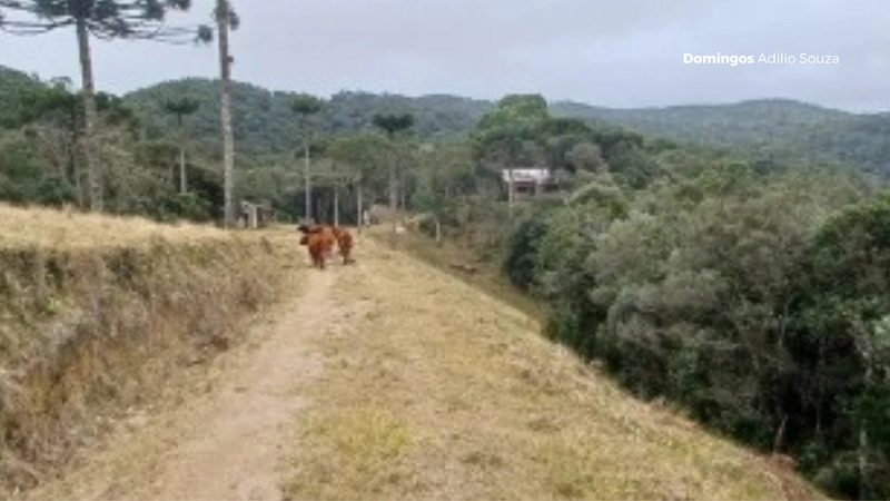 Um Paraíso para Investidores no Mundo da Recreação: 9ª foto da galeria de imagens do imóvel